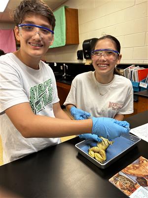 7th grade science dissection 2025 17.jpg
